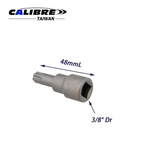 3/8” Square Drive TORX Plus Socket