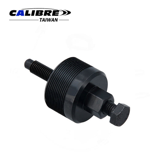 Oil seal removal tool