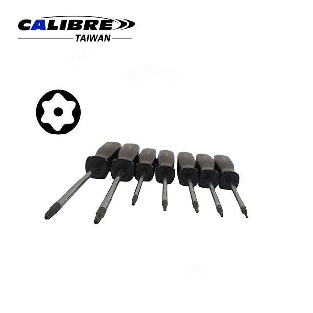 11pc Tamper Proof Star Screwdriver Set