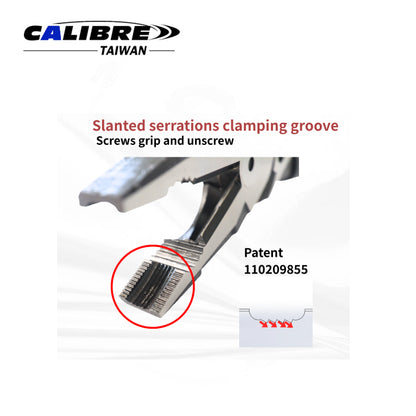 9" Combination Screw Pliers with Screwing