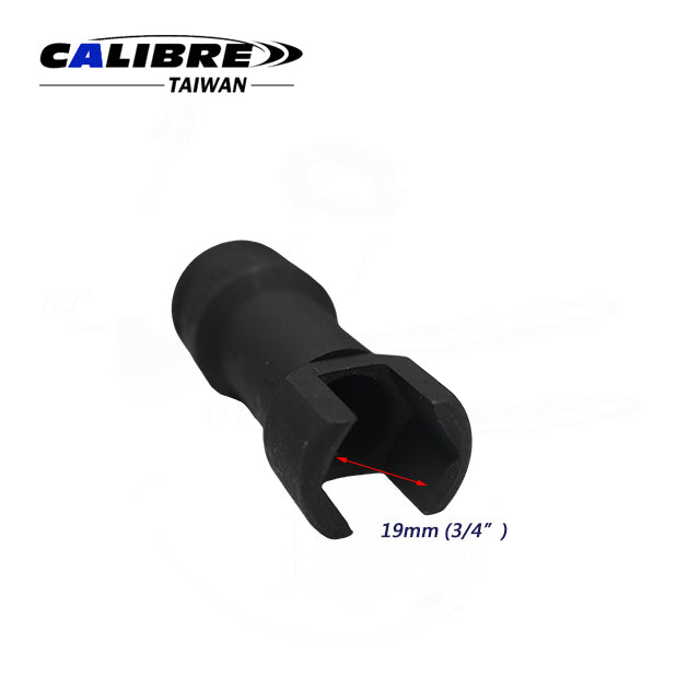 1/2" Dr. 19mm Strut Socket